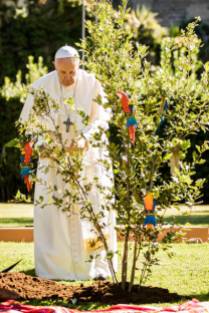 ROME, ITALY - OCTOBER 04: Pope Francis plants a tree as he celebrates the Feast of St. Francis of Assisi at the Vatican Gardens on October 04, 2019 in Rome, Italy. During a highly symbolic tree-planting ceremony in the Vatican Gardens on Friday, Pope Francis places the upcoming Synod for the Amazon under the protection of Saint Francis of Assisi. (Photo by Giulio Origlia/Getty Images)